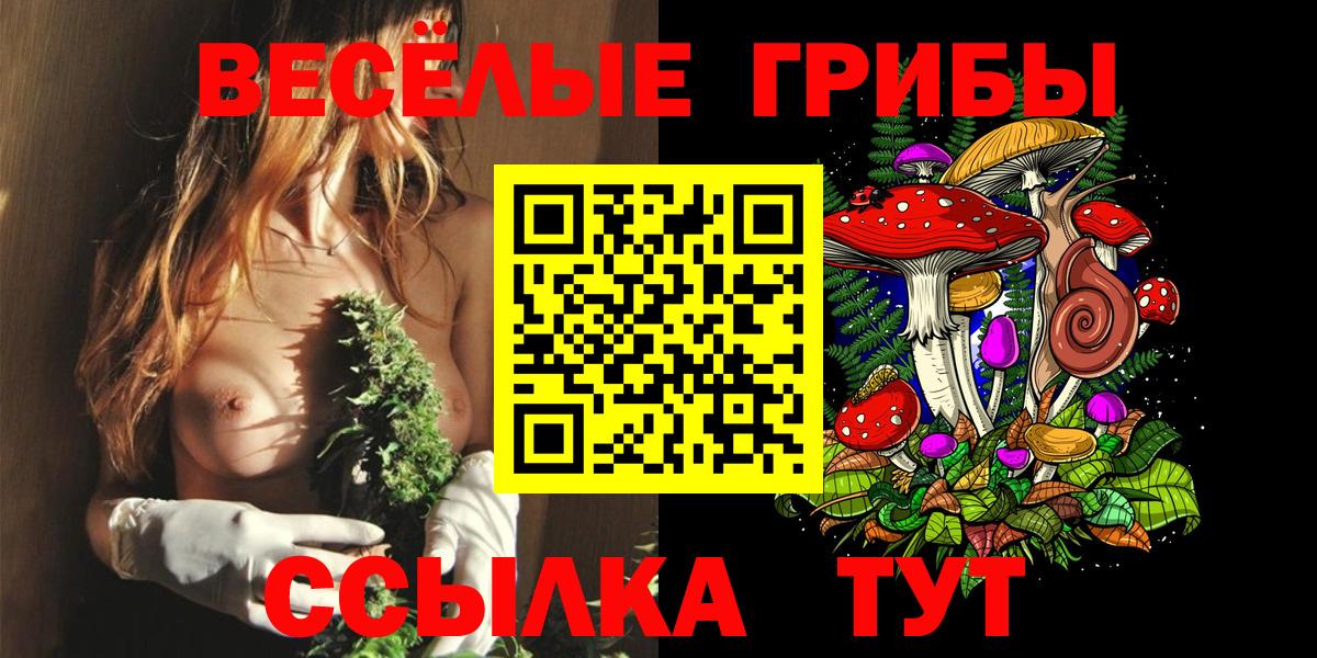 Псилоцибиновые грибы Magic Shrooms Красный Сулин